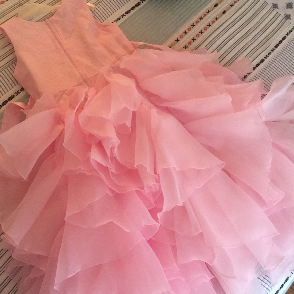 Pink Dress - Picture 4 of 16